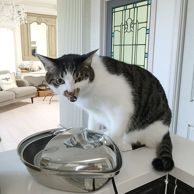 yuchiさんの実例写真