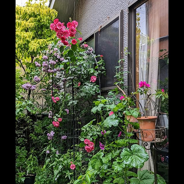 aromameさんの実例写真