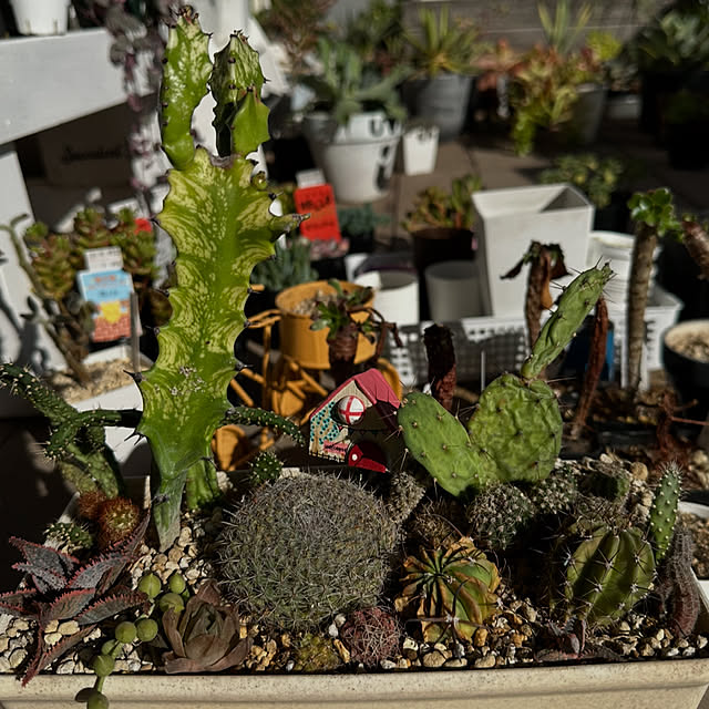 yaiyai38さんの部屋