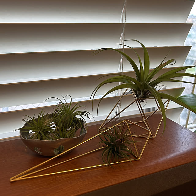 lalahさんの実例写真