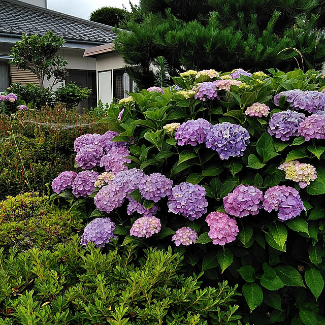 hiroさんの実例写真