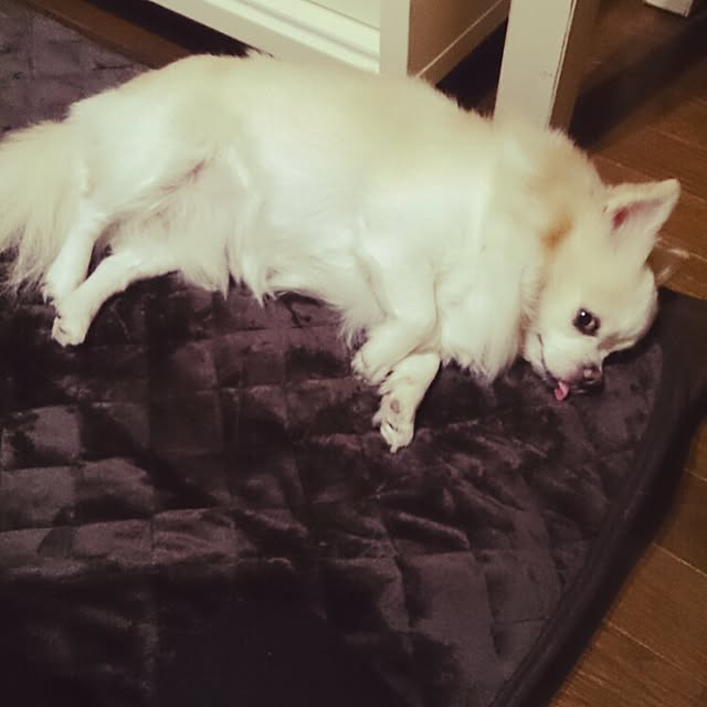 mikaさんの実例写真