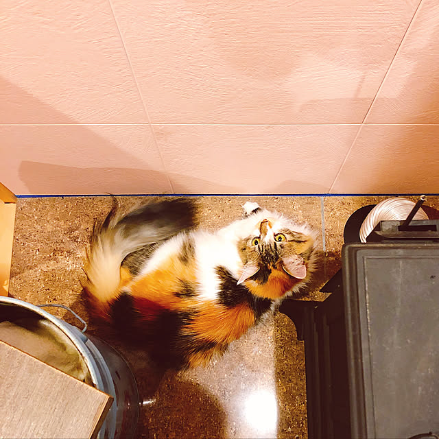 MASAさんの実例写真