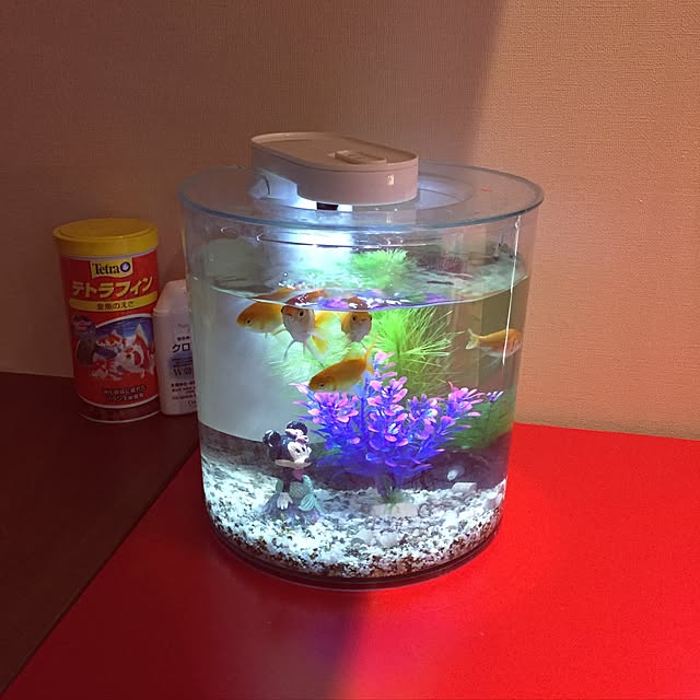 リビング 金魚水槽のおしゃれなアレンジ・飾り方のインテリア リビング 金魚水槽のおしゃれなアレンジ・飾り方のインテリア