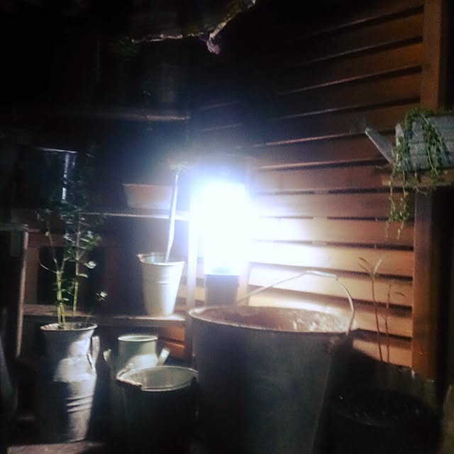nonさんの実例写真
