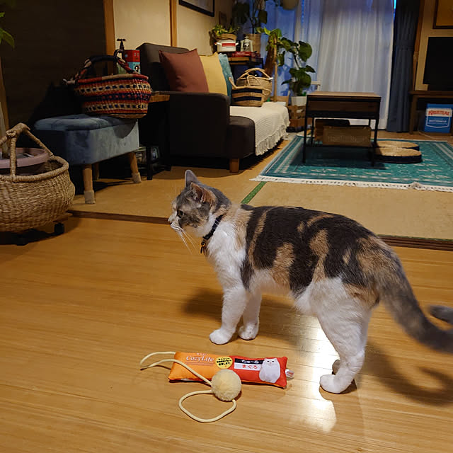 fukuさんの実例写真