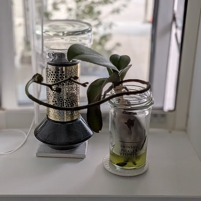 acocoさんの部屋
