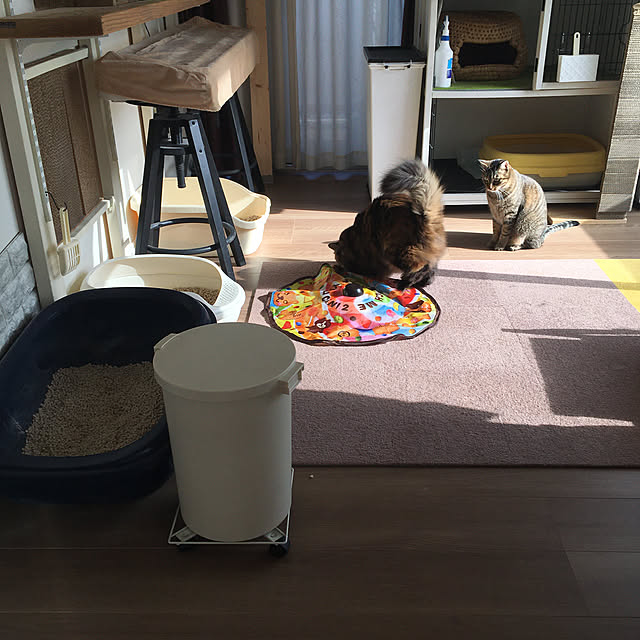 mikomaruさんの実例写真