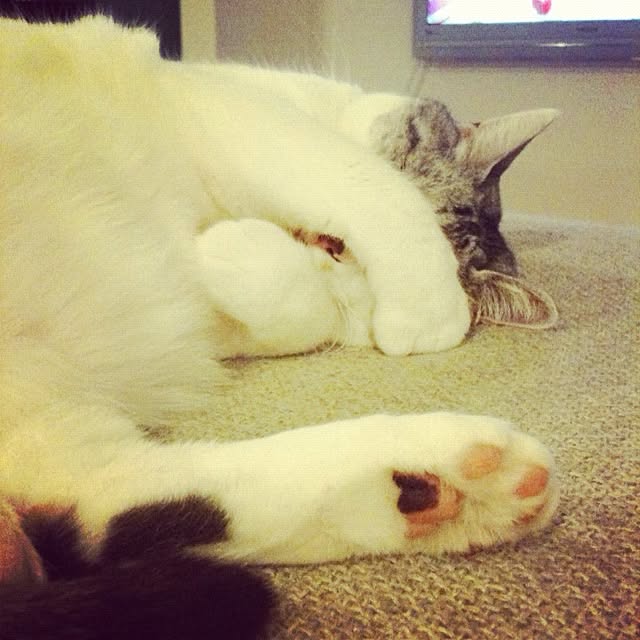 Tomo3さんの実例写真