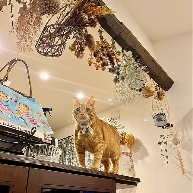 Maruさんの実例写真