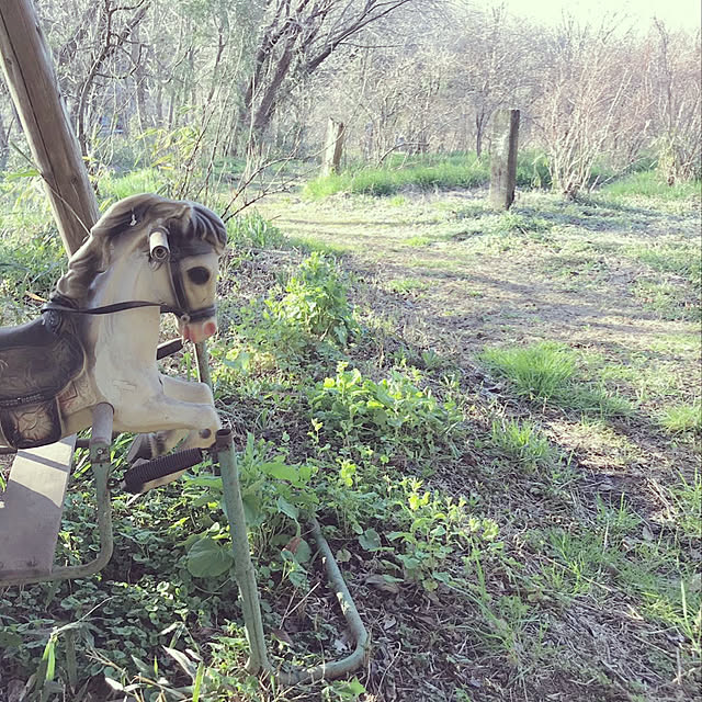 TOROさんの実例写真