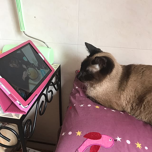 kieyanさんの実例写真