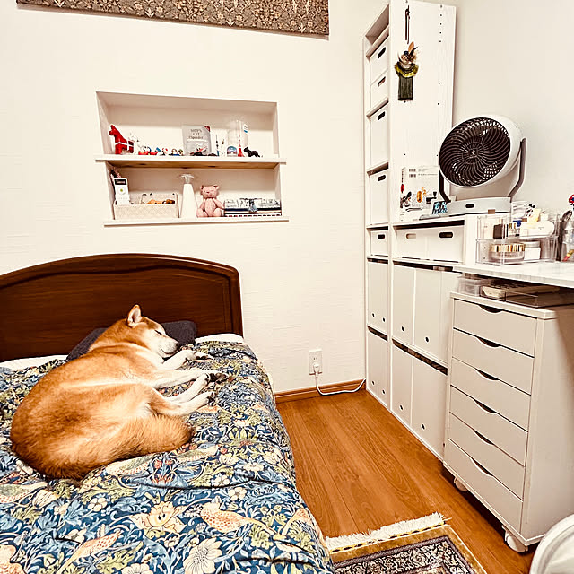 asahibaさんの部屋