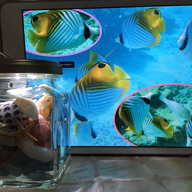 azupeeさんの実例写真