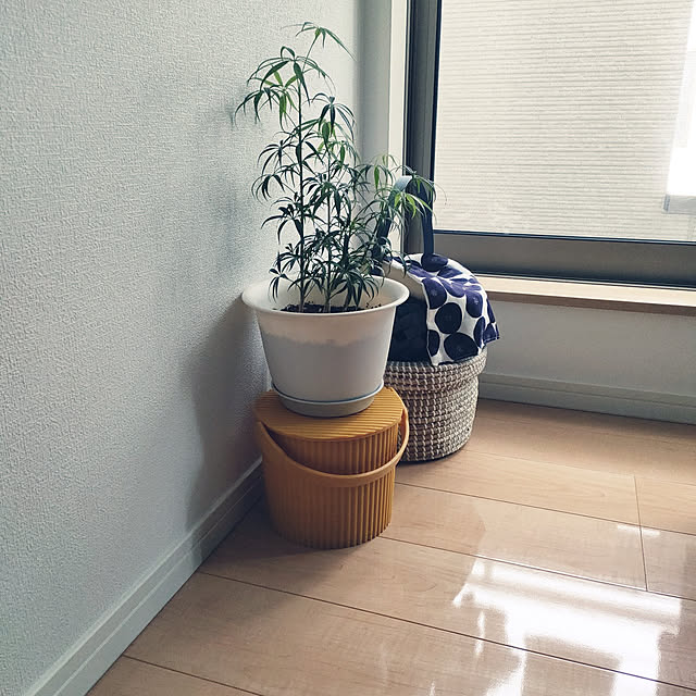 pinponmamさんの実例写真