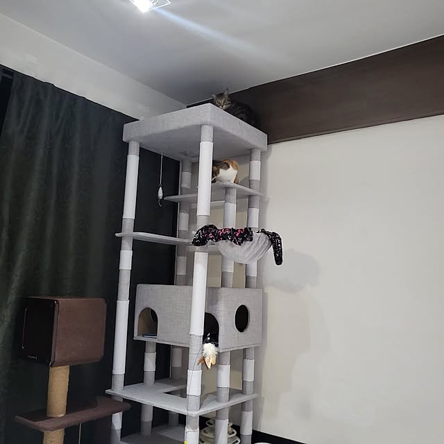 momoさんの部屋