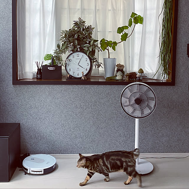 necomuraさんの実例写真
