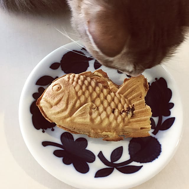 shihoさんの実例写真