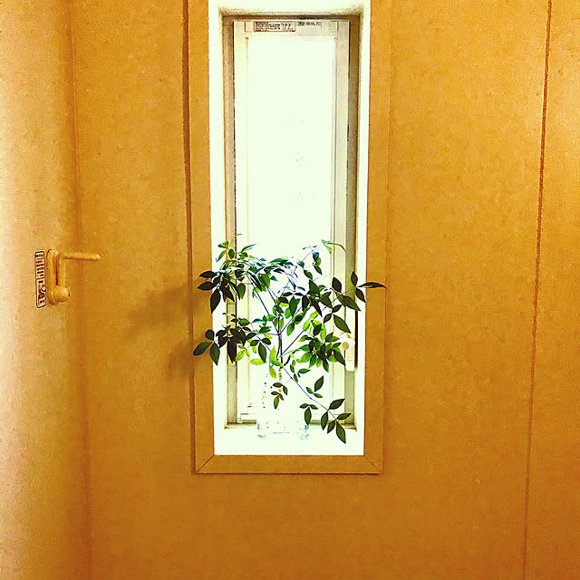 Mayさんの実例写真