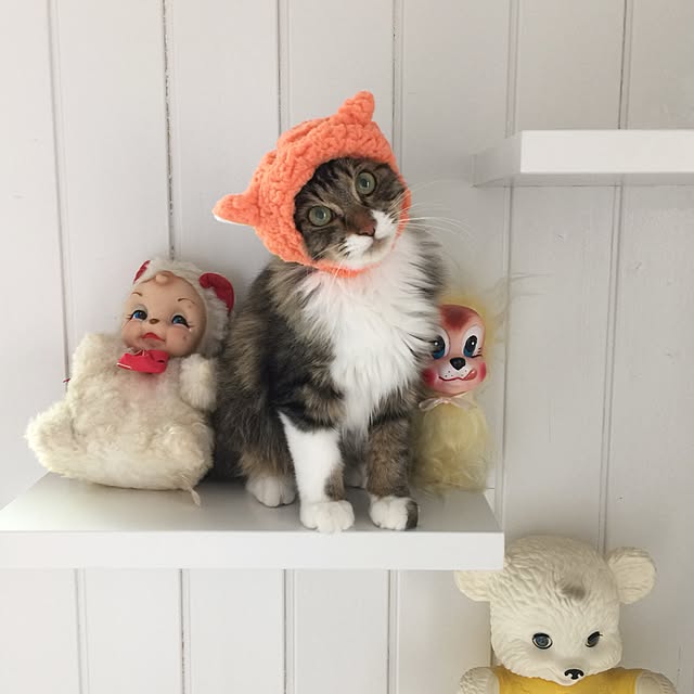 yuchiさんの実例写真