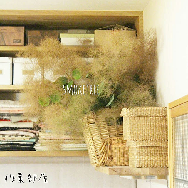 naho81078さんの実例写真