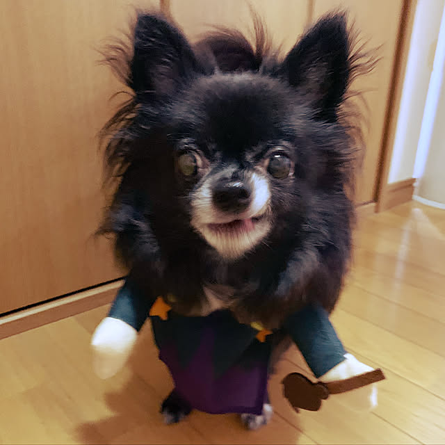 eriさんの実例写真