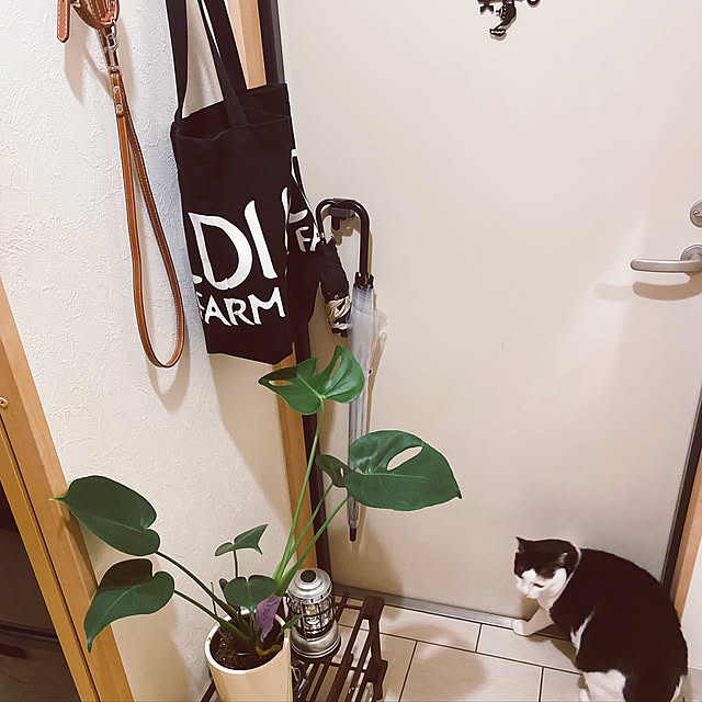 chemmyさんの実例写真