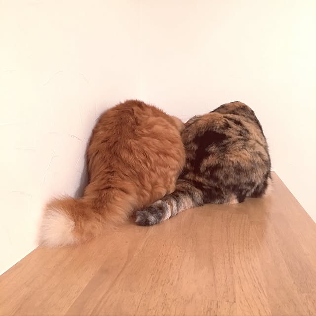 pomuriさんの実例写真