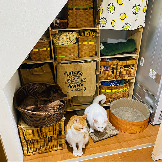 SHIHOさんの実例写真