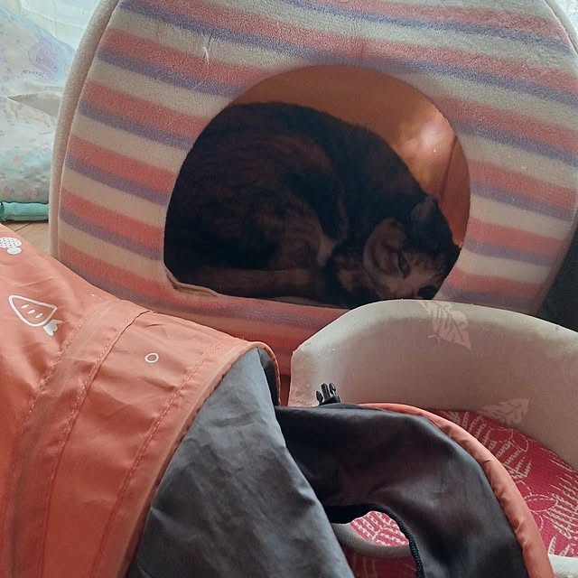 aiさんの部屋