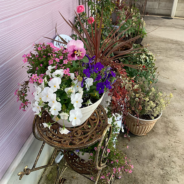 AYUKOさんの実例写真