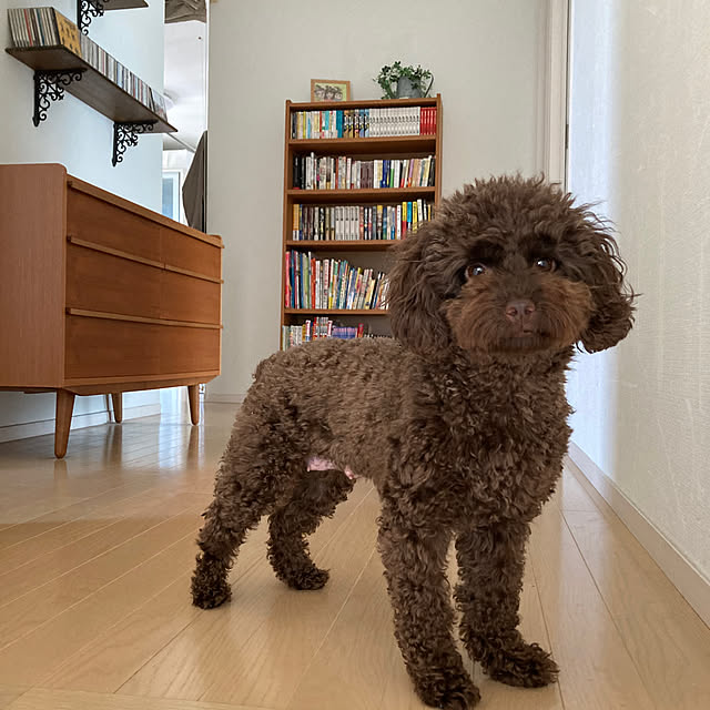 funky_ayankeeさんの部屋