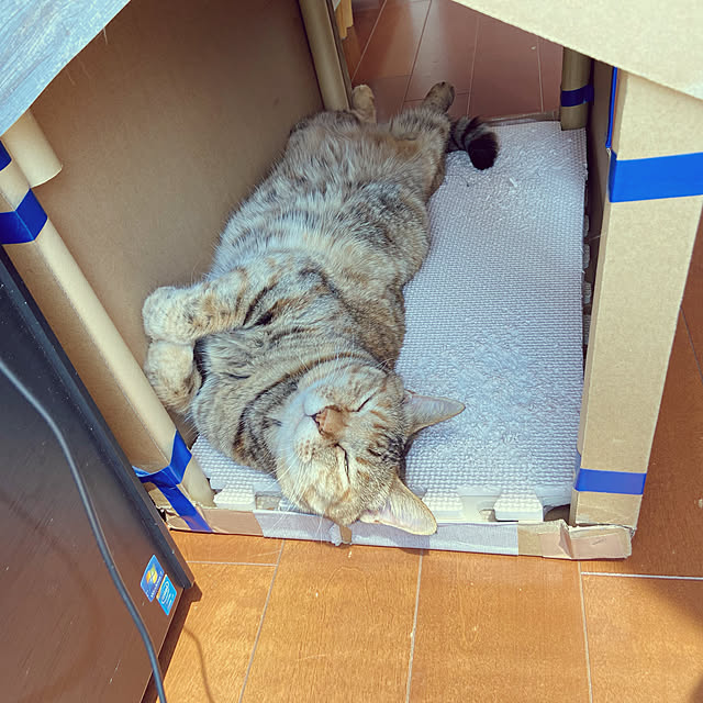 hansho.sさんの実例写真