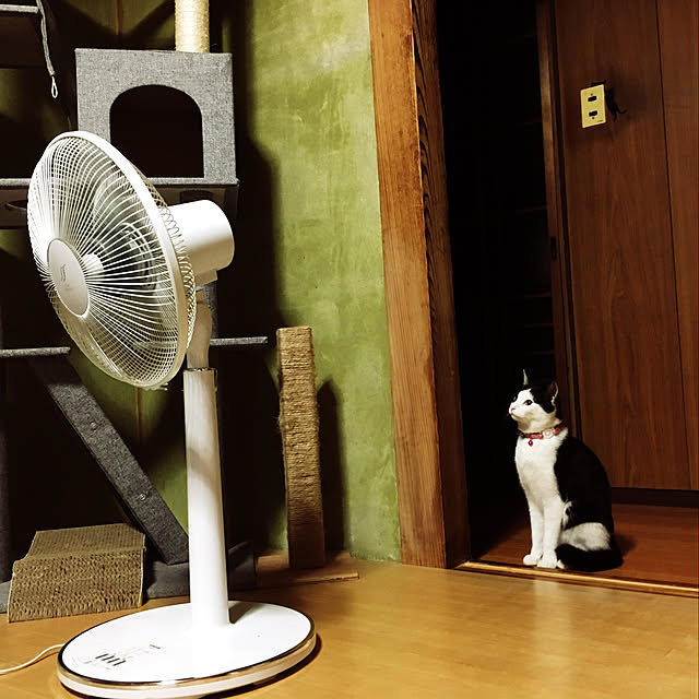 cocoithuさんの実例写真