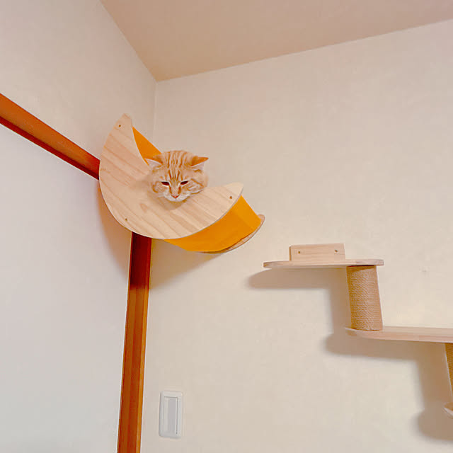 moolさんの部屋