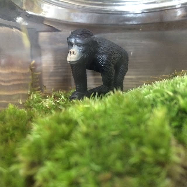 0607さんの実例写真