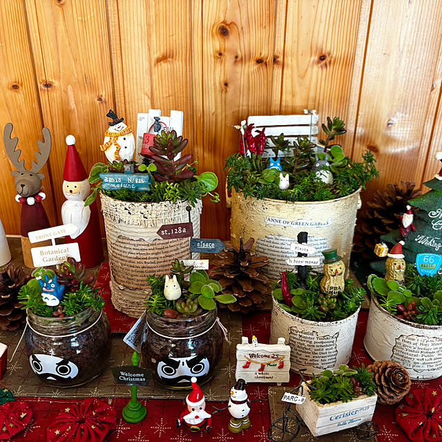 nokkoさんの実例写真