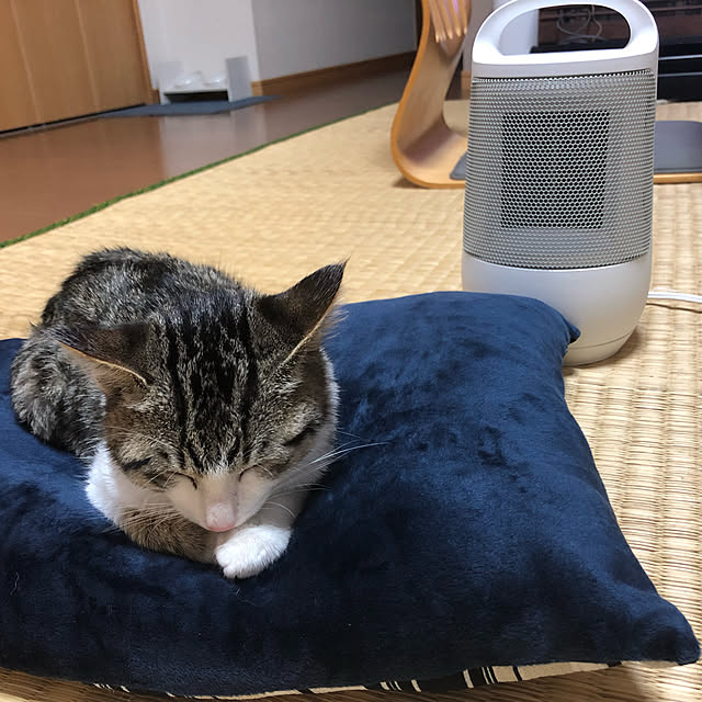 nacchi4さんの実例写真