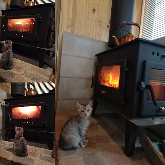 Shinichiroさんの実例写真