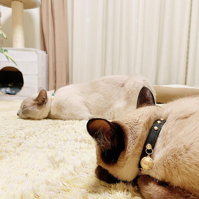 aichinさんの実例写真