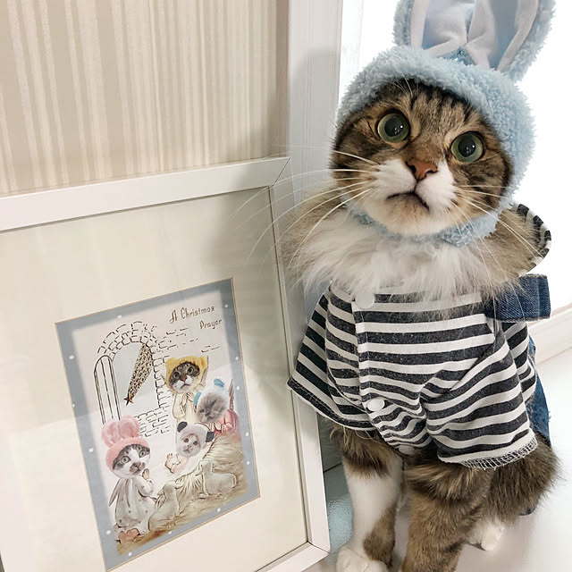 yuchiさんの実例写真