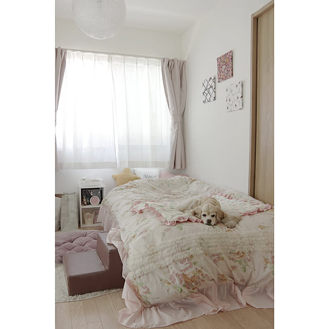 Shooowkoさんの実例写真
