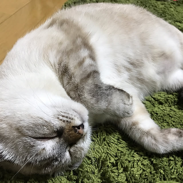 nachuさんの実例写真