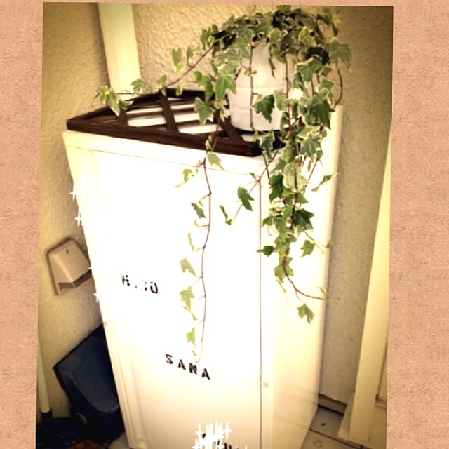 troisrさんの実例写真