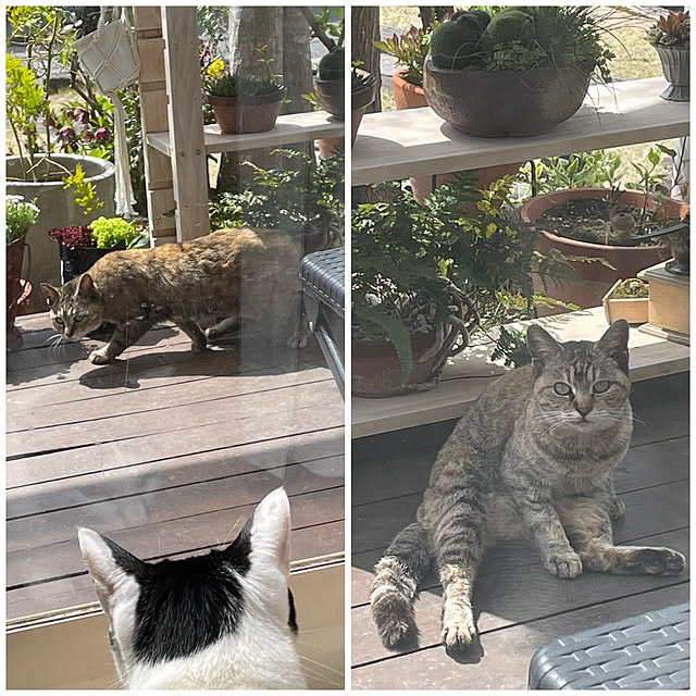 nobikoさんの実例写真