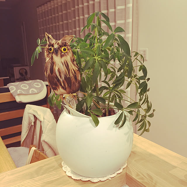 sachimさんの実例写真