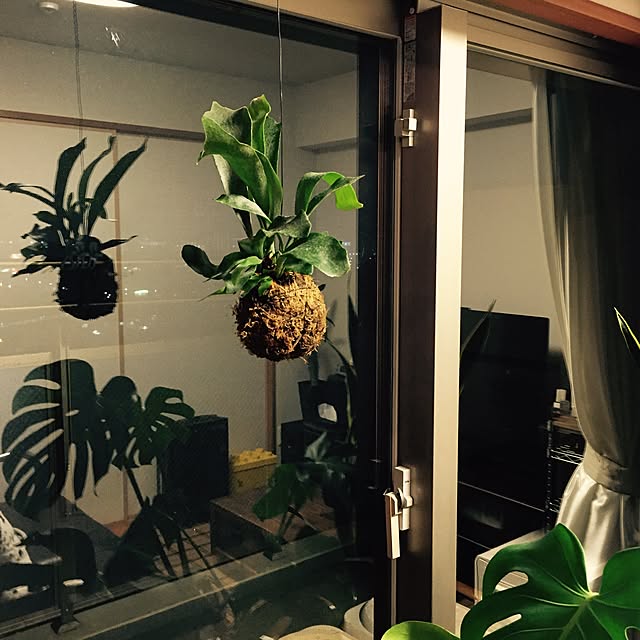 ichiさんの実例写真