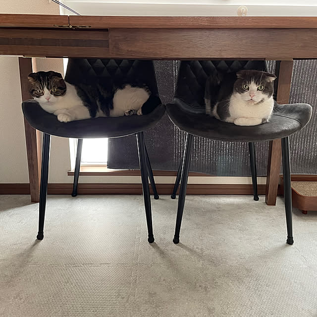 tansukeさんの実例写真