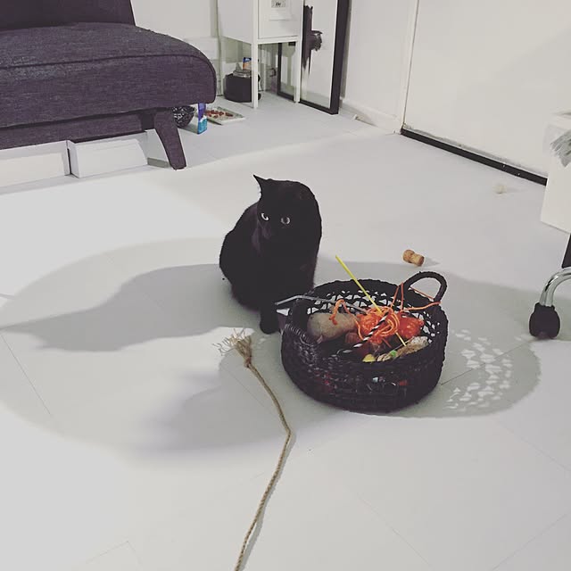 awachan77さんの実例写真