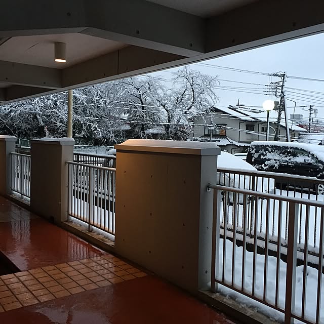 実例写真
